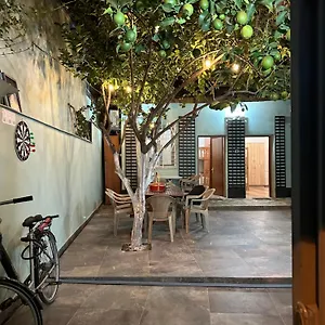 https://hostel-lemon-breeze.albaniahotels.org
